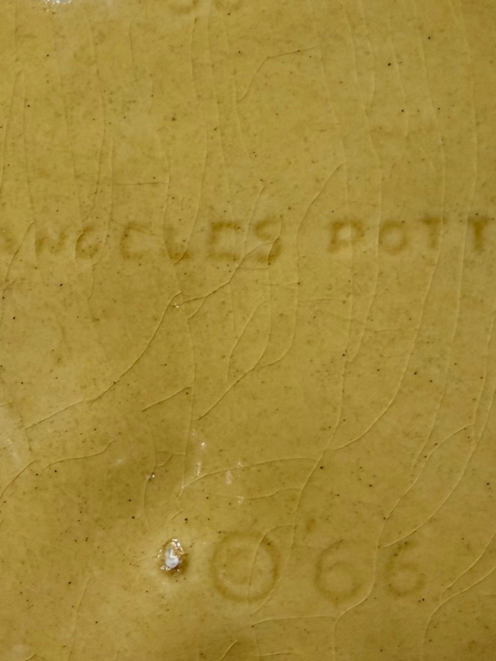 Yellow Floral Ceramic Serving Bowl - Picture 4 of 4